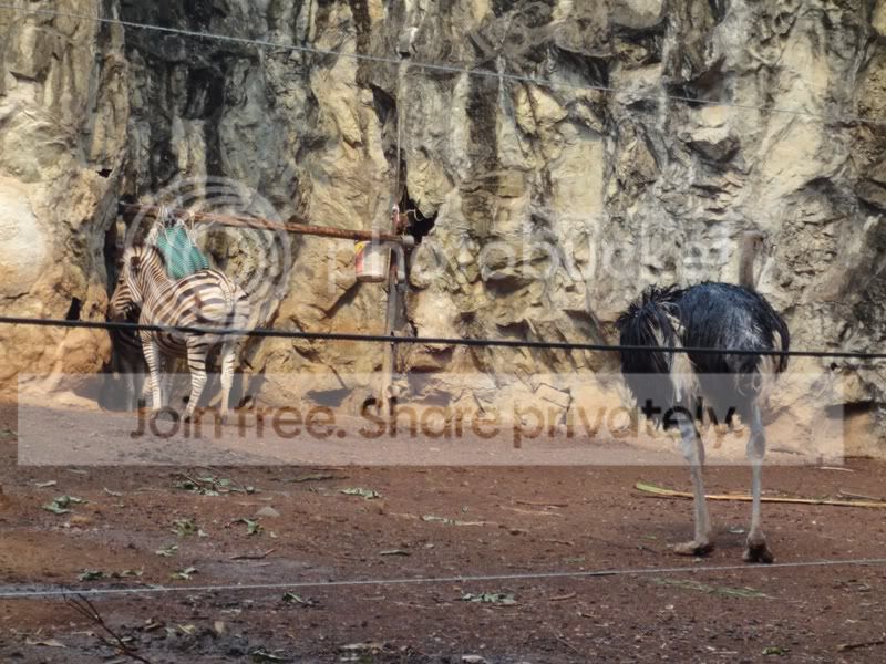 曼谷亲子游好去处